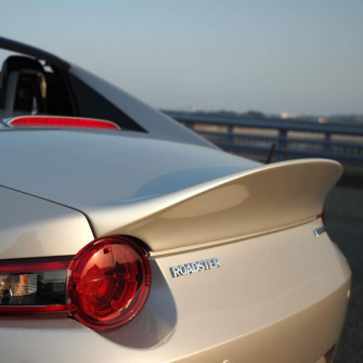 HighWorks RF Ducktail Trunk